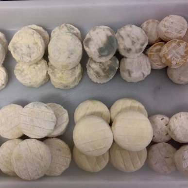 Plateau de fromage